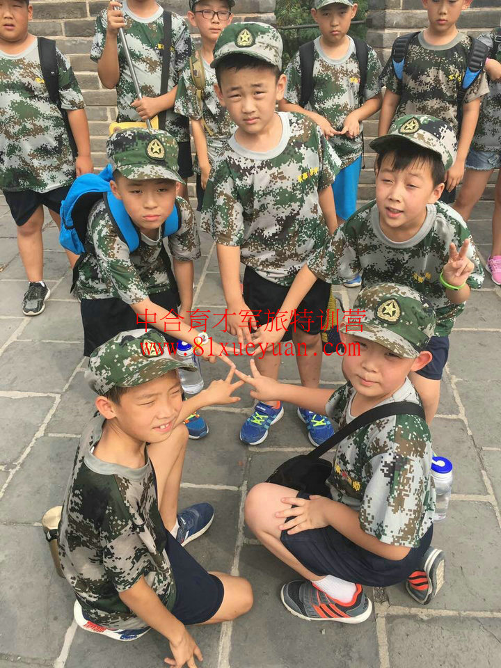 嘉峪关长城_军事夏令营